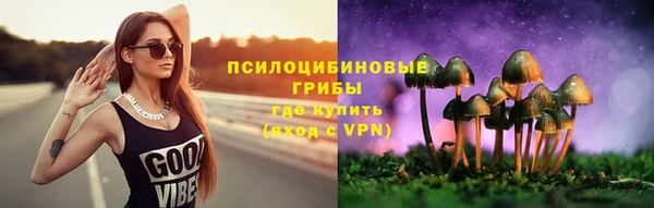 спайс Арсеньев