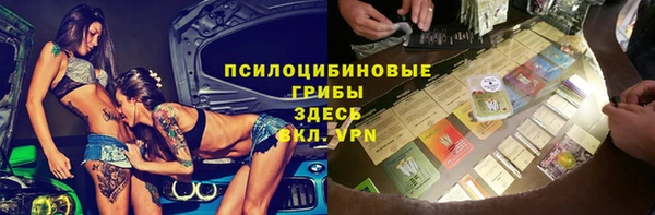спайс Арсеньев