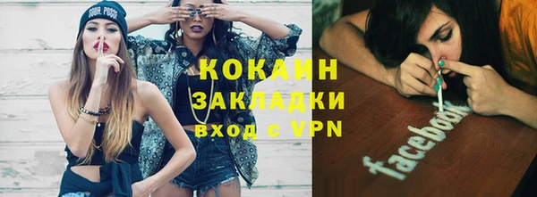 шишки Покровск
