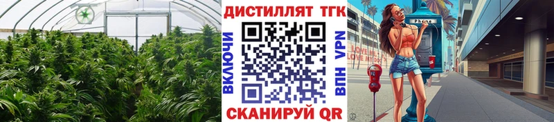 Дистиллят ТГК концентрат  Пролетарск 