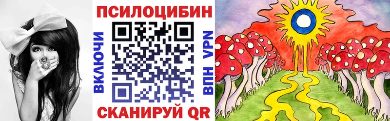 где купить наркоту  Пролетарск  Галлюциногенные грибы Psilocybine cubensis 